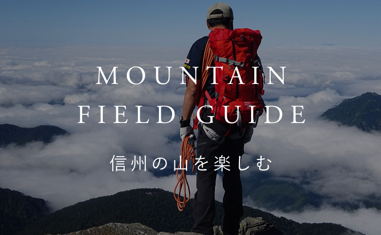 Mountain Guideのページへ