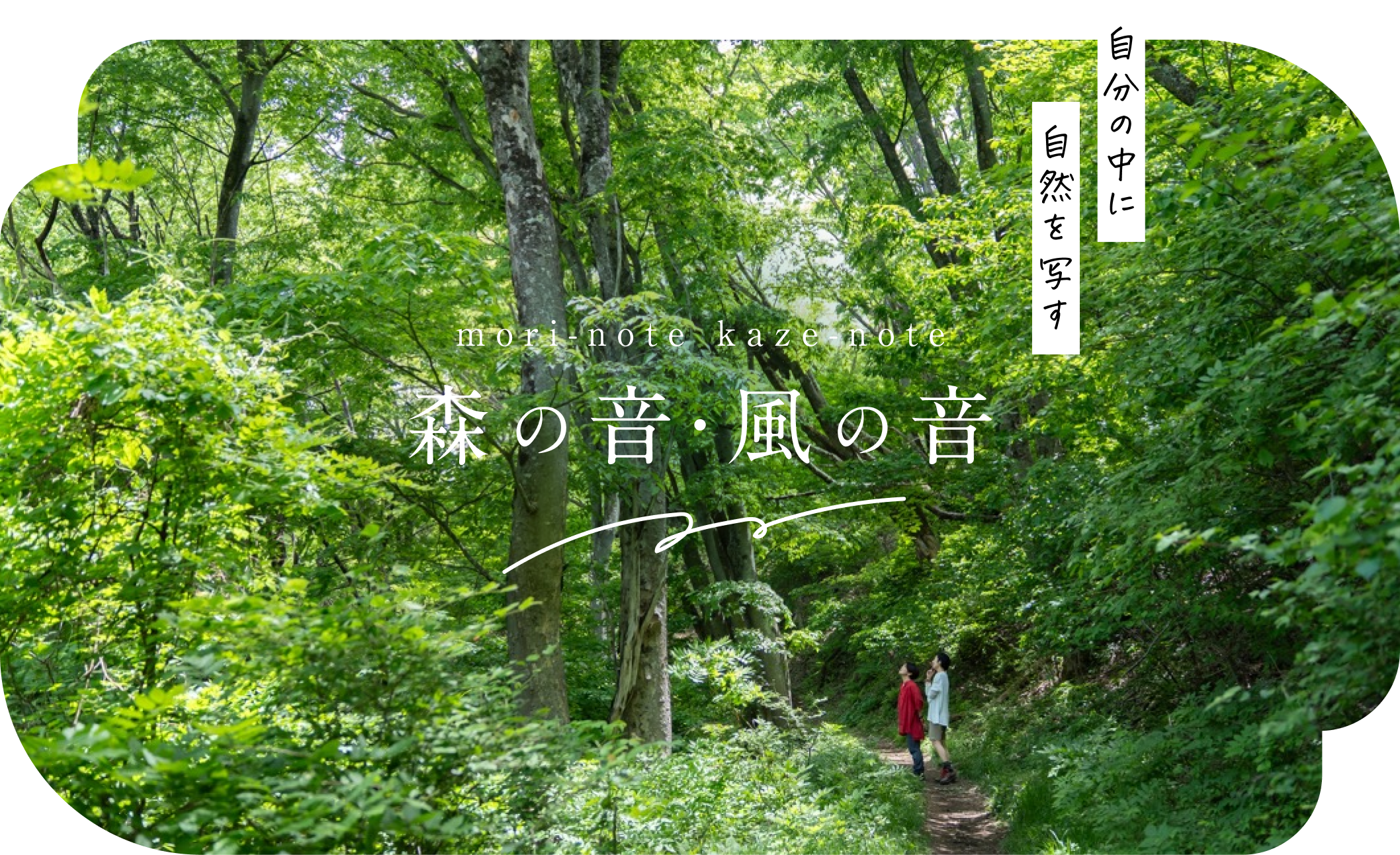 自然のなかに自然を写す　森の音・風の音【mori-note kaze-note】