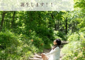 森の音・風の音からサイレントネイチャーワークスに名前が変わりました。